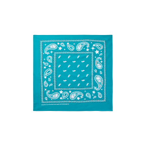 Flying B Paisley Bandana