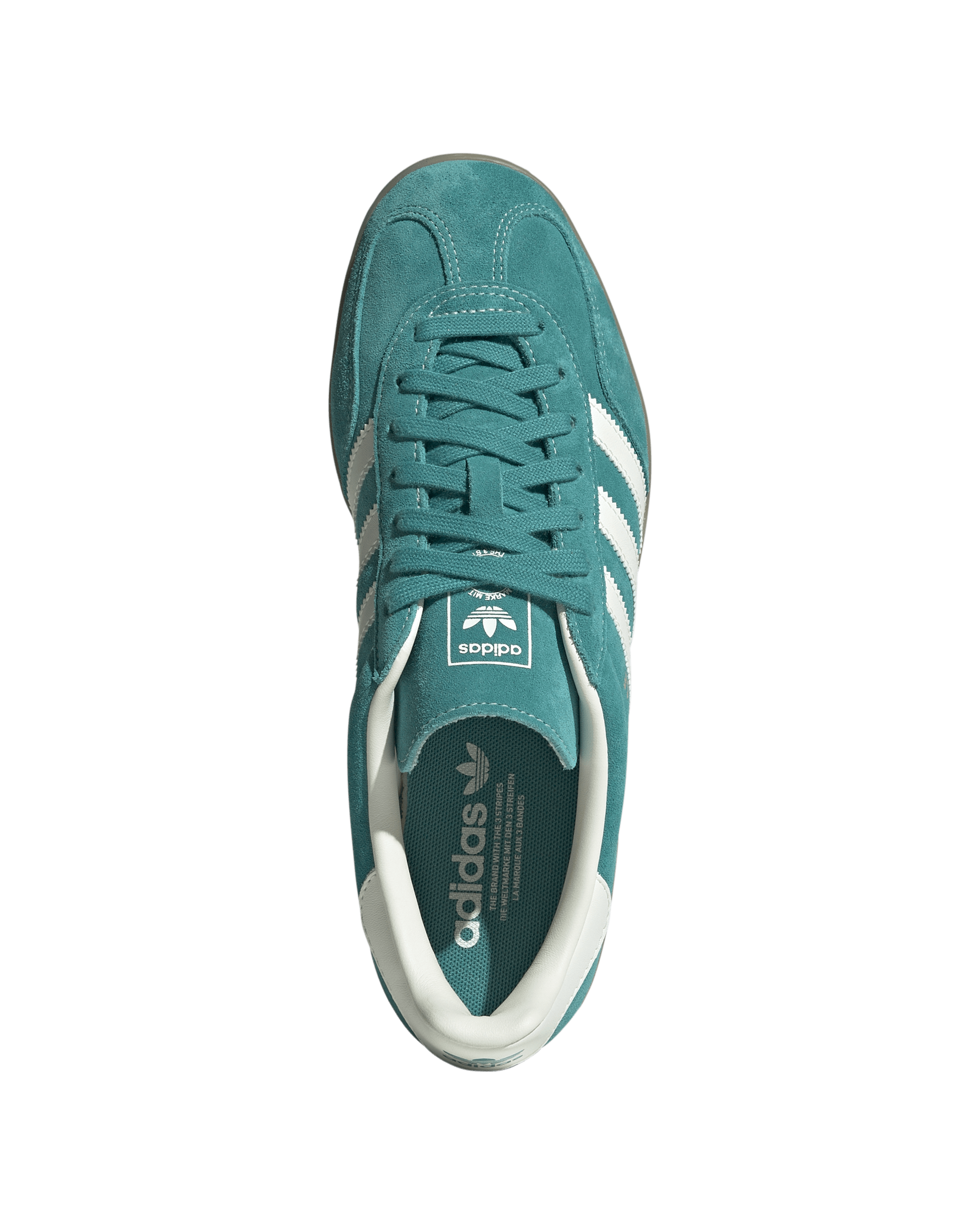 Gazelle Indoor - Image 2