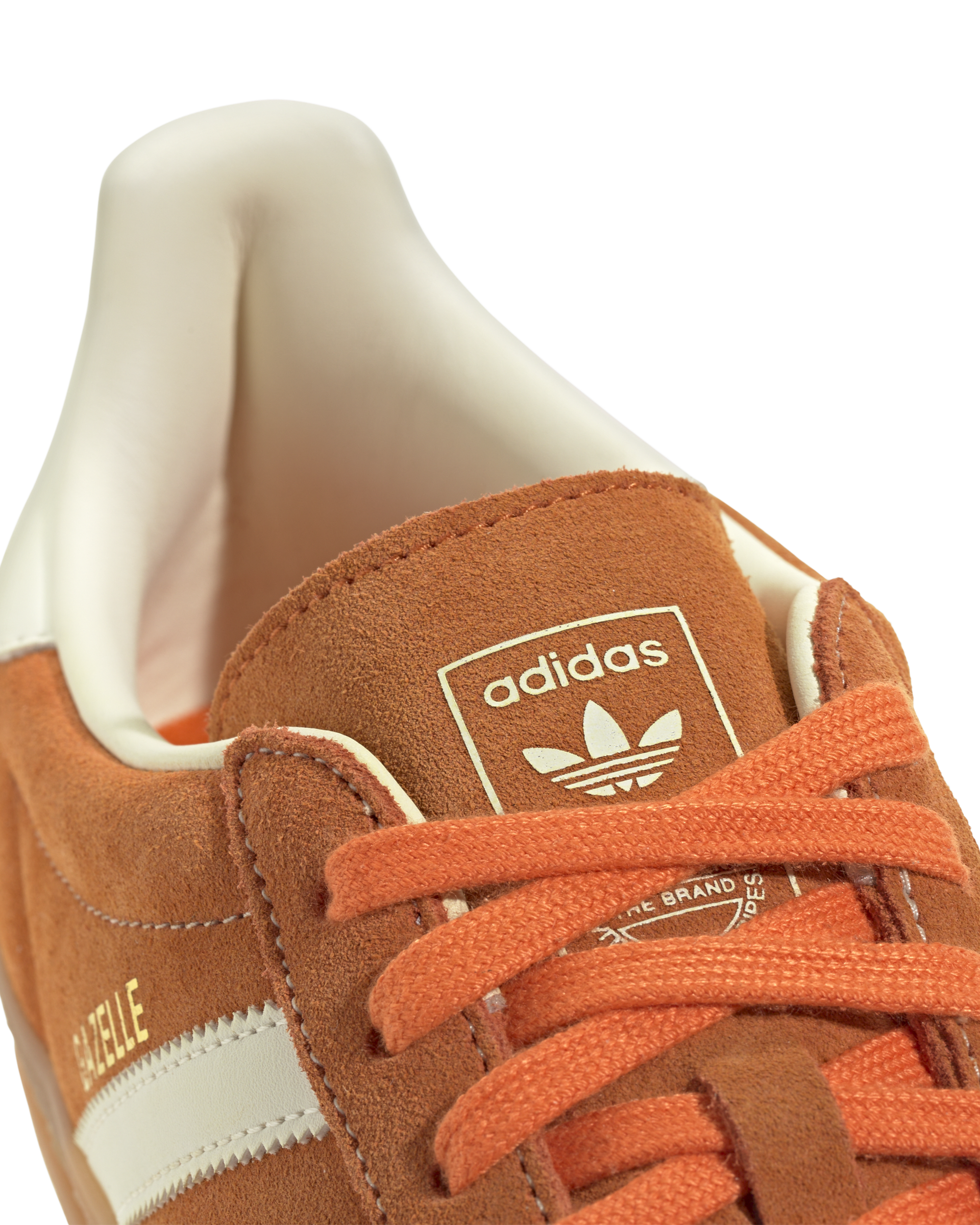 Gazelle Indoor - Image 5